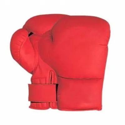 Pro Series Boxing Gloves