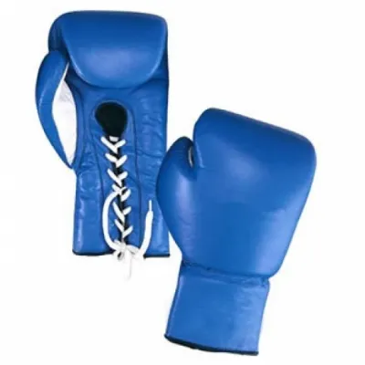 Training Boxing Gloves